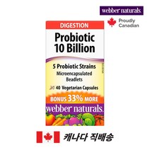 캐나다 직구 웨버내추럴 성인유산균 유산균프로바이오틱스 프로바이오틱스 100억, 40 베지테리언 캡슐 - 100억