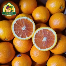 오렌지카라카라대과 똑똑한 구매 방법