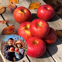 청송외갓집농장 꿀 사과 고당도 햇부사 못난이 흠과 5kg 10kg 대과 중과 소과 선물용 가정용, 사과즙2박스(120ml 100봉)