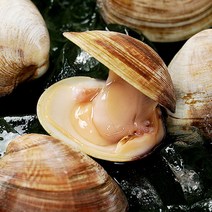 백합조개 2kg 중대사이즈, 단품