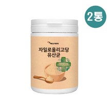 신제품 맛있는 요구르트맛 식물 모유 유래 유산균 분말 핵심 복합 균주 액션 신바이오틱스 포스트바이오틱스 프리바이오틱스 fos 프로바이오틱스 프로바이오 자일로올리고당 프락토올리고당 가루 장내 환경 개선 유익균 비피더스균 증식, 2통, 230g