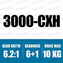 2021 new daiwa fuego lt cs 2500 3000 4000 5000 6000 5.3:1 abs 스풀 낮은 기어비 바닷물 낚시 스피닝 릴, 3000cxh
