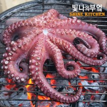 빛나의부엌 대왕자숙문어_참문어 4가지 사이즈 제수용_요리용, 1개, 중사이즈 (1kg 미만)