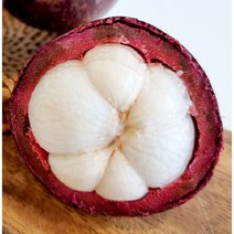 제이블릭 항공직송 태국산 생 망고스틴 500g 1kg 1망 생과 람부탄 동남아 과일 열대 임산부 아이들간식 애들간식 어린이간식 냉동 잭프룻 태국 제철과일 고당도 당도보장, 신선한 망고스틴 생과500g(4~8과)