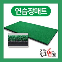 원그린 [국산]골프스윙매트 골프연습매트 골프퍼팅매트, 골프매트