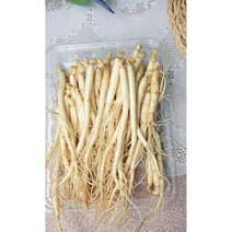 [금산인삼시장] 80-100뿌리 인삼 실속형 세척인삼, 잔삼계 1kg 100-150뿌리), (세척원하지않아요X)
