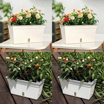 이지리치 자동급수 화분 31.5X16CM 베란다텃밭 베란다상추키우기