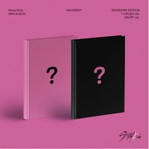 개봉앨범 포토카드 없음 | 스트레이 키즈 (Stray Kids) - 미니앨범 MAXIDENT 2 버젼 세트