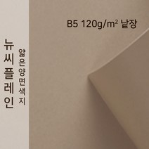 뉴씨플레인 종이문화 얇은 양면색지 120g B5 낱장 1매 No.58 금발색, 1장
