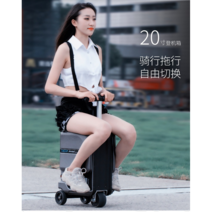 에어휠 se3 mini 전동 킥보드 캐리어