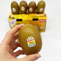 더노랑 골드키위 뉴질랜드 제스프리, 4월21일 순차배송출발, 개당 146g 내외 점보 8개입, 1개
