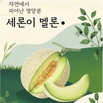 세지메론 세론이멜론 정품 나주메론 13brx 4수 노마진, 파랑박스(12브릭스)4수 한박스