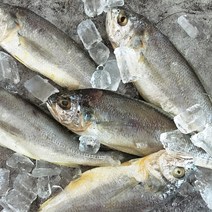 국내산 먹기 편한 반건조 참조기 5마리