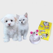 말썽쟁이여름 강아지 고양이 애견 애완견 반려견 소형견 중형견 펫 간식장난감 냥냥펀치 놀이기구 공 사냥놀이 토이볼 놀이 공놀이 혼자놀기, 1개, 화이트