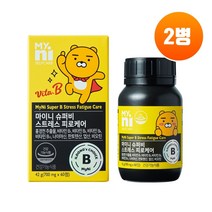 식약처인증 복합 비타민b군 컴플렉스 활력 활성 고함량 수용성 비타민 b12 b6 b2 b1 비오틴 판토텐산 나이아신 엽산 홍경천추출물 스트레스 피로개선 효능 일동제약 건강기능식품, Brainbee 2Box