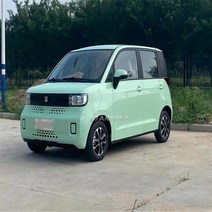 전기오토바이 충전식 충전 JIAKUMA 성인 EV 고속 100 km/h 4 륜 인승 전기 태양 SUV 자동차, 02 JKM-H1