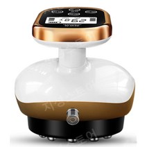 고주파치료기 가정용 바디 홈케어 다이어트 온열 치료기 마사지기, F