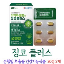 징코플러스 기억력 혈행 건강 은행잎추출물 비타민 함유, 2개, 30정