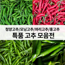 국내산 고추 모음 특품 청양 꽈리 모닝 홍고추 1kg 3kg 5kg [노블프레쉬]