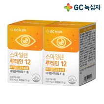 녹십자 스마일렌 루테인 12 30캡슐*2통 눈영양제, 2통, 30개