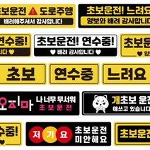 DAYA / 자국안남는 자석 초보운전스티커 모음 도로주행 스티커 주행연습, 05연수중검정칸배려흰검, 1개