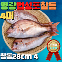 법성포명품 영광굴비선물세트 산지생산자직송 영광굴비 찐보리굴비 추석굴비선물 영광법성포굴비 명절선물 추석선물 명절굴비 보리굴비 영광굴비 법성포굴비 법성포굴비선물세트 손질참돔 찐보리굴비, 참돔, 4미