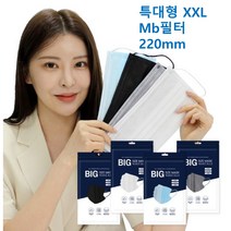 [100매]특대형마스크 빅사이즈 3중 mb필터 특대형(220mm) XXL 화이트 / 일회용 성인 덴탈마스크 100매