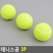운동남 운동녀 동호회 연습용 테니스공 30대남성 폼볼
