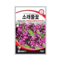 모칸도 (무배)세계 소래풀꽃 꽃씨 (500립)