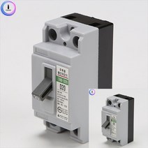 배선차단기 주택용 THB-32H D20 2.5KA 2P 전기용품 배선용차단기 전자부품 전기스위치교체 전기스위치