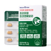 프리미엄 징코 빌로바 은행잎추출물 영양제 혈행 기억력 개선 식약처인증, 1박스, 30정