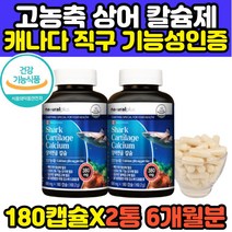 상어연골 성인 프리미엄 뼈 영양제 칼슘 6개월분 남성 여성 여자 남자 무릎 관절 연골 청상어 CALCIUM 코스트코 홈쇼핑 어골 고함량 청새리 건강기능식품
