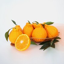 초록자연 한라봉 3kg(9-10과) 새콤달콤 제주 고급제주 한라봉 할라봉 레드향 황금향 감귤 제주귤 제주도귤 서귀포귤 천혜향 한라봉 카라향 신비향 천해향 천리향, 본상품