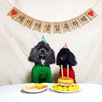 한해순공작소 주문제작 가랜드, 9번폰트