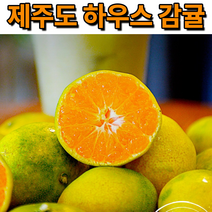 꿀꿀도매 제주 하우스 감귤 1kg2kg3kg5kg, 1개, 3kg(대과(L-2L))