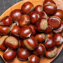 햇 알밤, 햇알밤 (대) 1kg