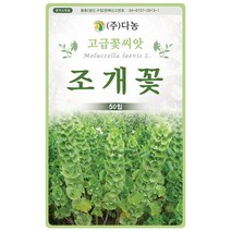 대엽 민들레 1000립 - 야생화 씨앗 꽃씨 씨 꽃씨앗 야생화씨앗 고급꽃씨 고급꽃씨앗 민들레씨 민들레씨앗, 13_다농_조개꽃(50립)