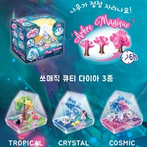 아이조아 쏘매직 큐티다이아 3종(랜덤) 식물키우기 테라리움, 단품없음