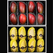 애플망고 골드망고 망고선물세트 2kg 3kg 4kg, 애플망고 8-12과 일반박스