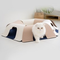 가또페로 지그재그 고양이 삼각터널, 6pcs, 믹스