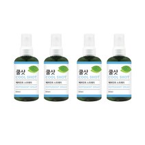 더허브샵 쿨샷 스프레이 페퍼민트향, 50ml, 4개입