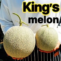 [ 고당도 kings 메론 ] 크기부터 남다른 머스크 메론 3kg 6kg 8kg 선물세트 멜론 과일 세트 고창 곡성 창원 등 산지출하, 1박스, 머스크 메론 멜론 1수 2.8kg내외