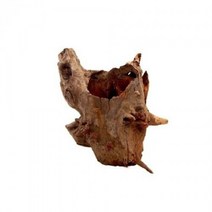 [헬로아쿠아]그루터기 유목 20cm내외-어항용 자연소재 천연나무, 단일속성