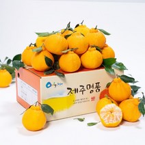 [자연맛남] 제주 고당도 한라봉 2.5kg (16과내외/벌크포장), 1개