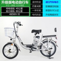 전기 자전거 2인승 전동 킥보드 배달 운동 패달 겸용 알루미늄 합금 경량 여성, 80km알루미늄프레임2