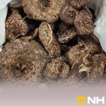 지리산농협 - 지리산 자연산 능이버섯 (국내산), A급 (500g), 1개