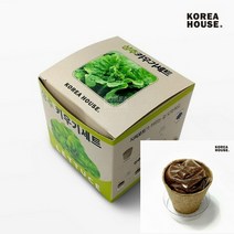 TWKL 상추 키우기세트