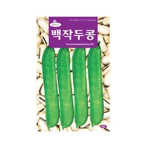 (CN) 백작두콩 씨앗 (10립)