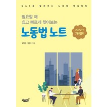 필요할 때 쉽고 빠르게 찾아보는 노동법 노트, 김형진,정진수 저, 지식과감성