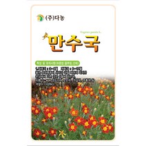 맨드라미 2g - 야생화 씨앗 꽃씨 씨 꽃씨앗 맨드라미씨앗 맨드라미씨 야생화씨 야생화씨앗 꽃 계관 계두, 17_다농_만수국(80립)